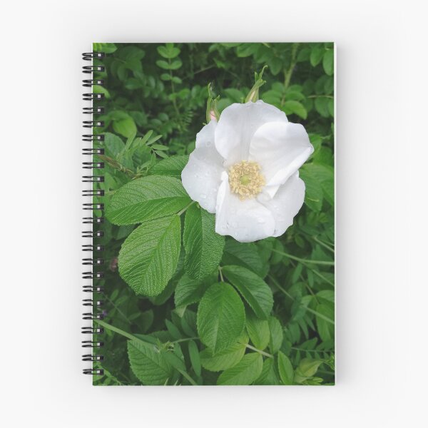 Item preview, White wild rose designed and sold by esvb.