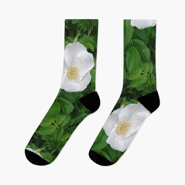 Item preview, White wild rose designed and sold by esvb.