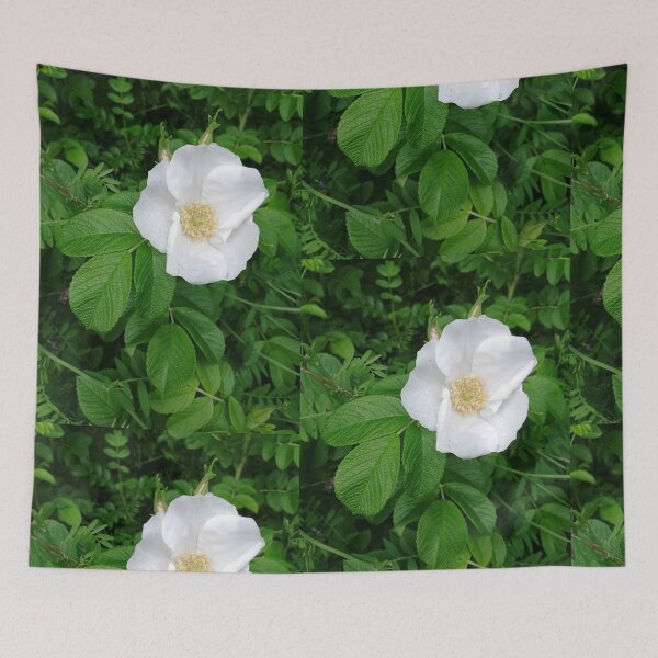 Item preview, White wild rose designed and sold by esvb.