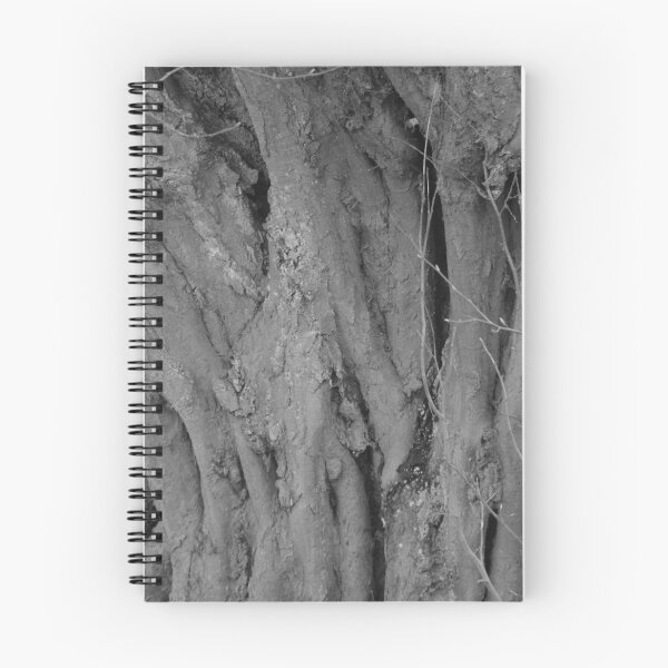 Item preview, Trunk of Carpinus betulus designed and sold by Treemonk.