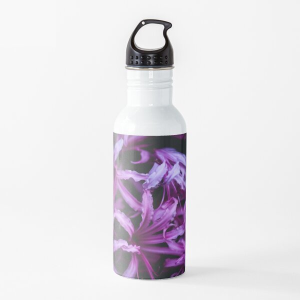 Pink Petals Water Bottle