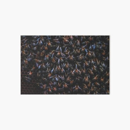 Hive Art Board Print