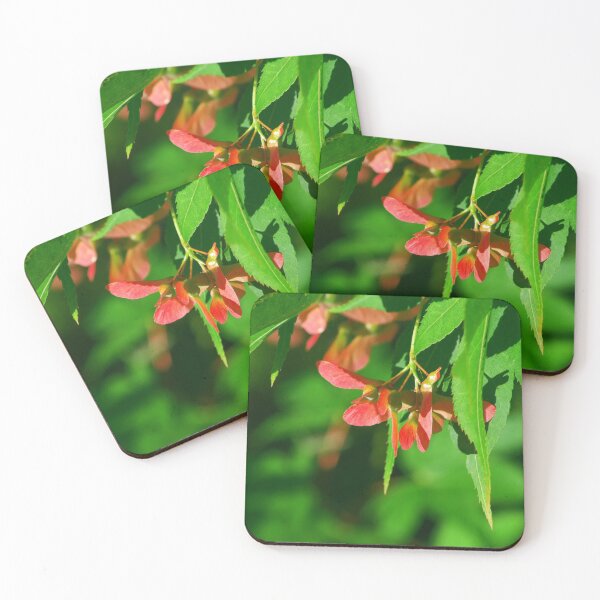 Item preview, Maple seeds designed and sold by Treemonk.