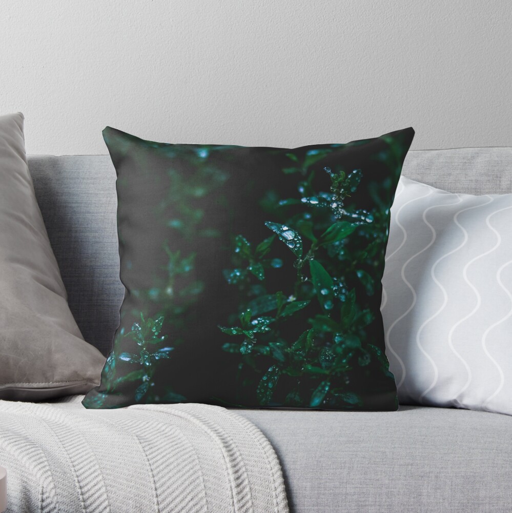 In The Valley Throw Pillow