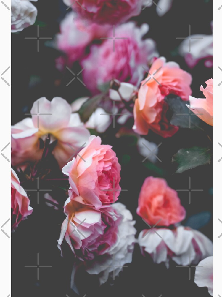 Pastel by rosafayphotos