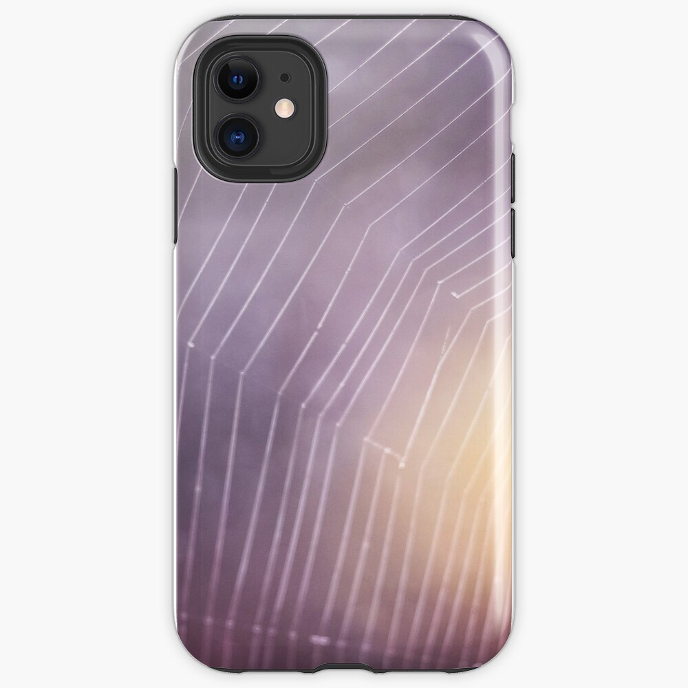 Spider Web iPhone Case