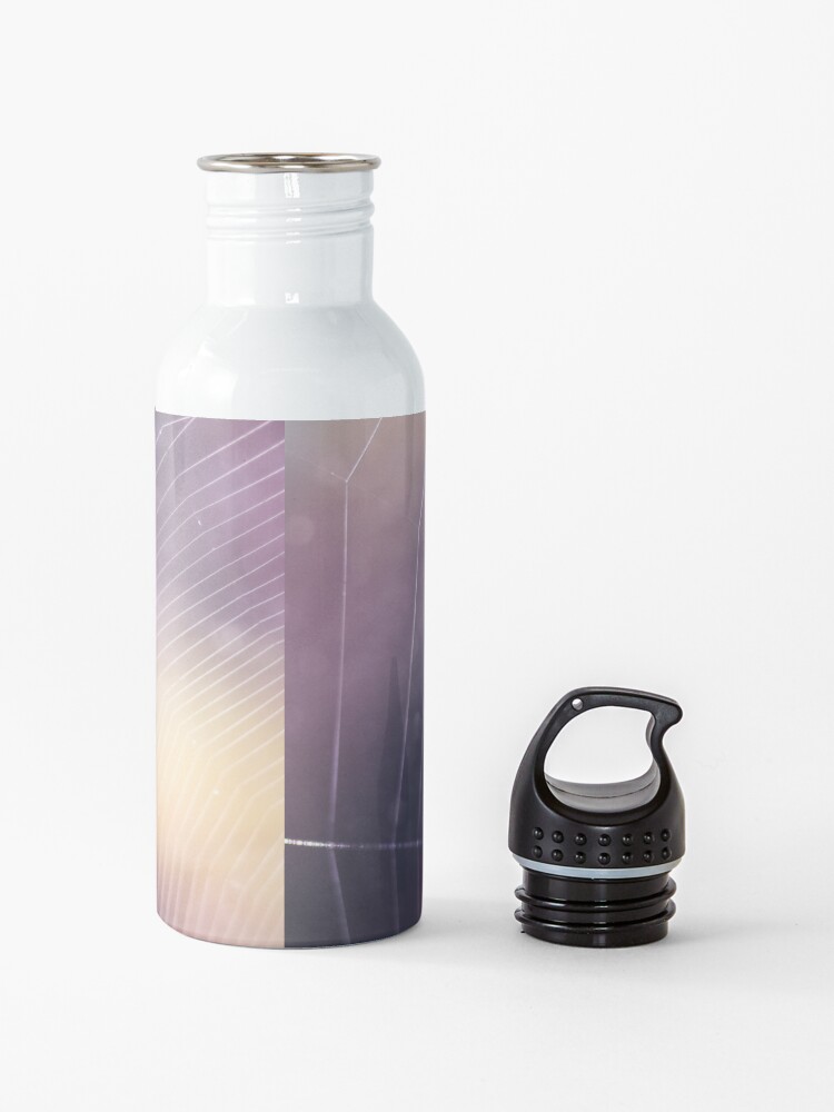 Alternate view of Spider Web Water Bottle
