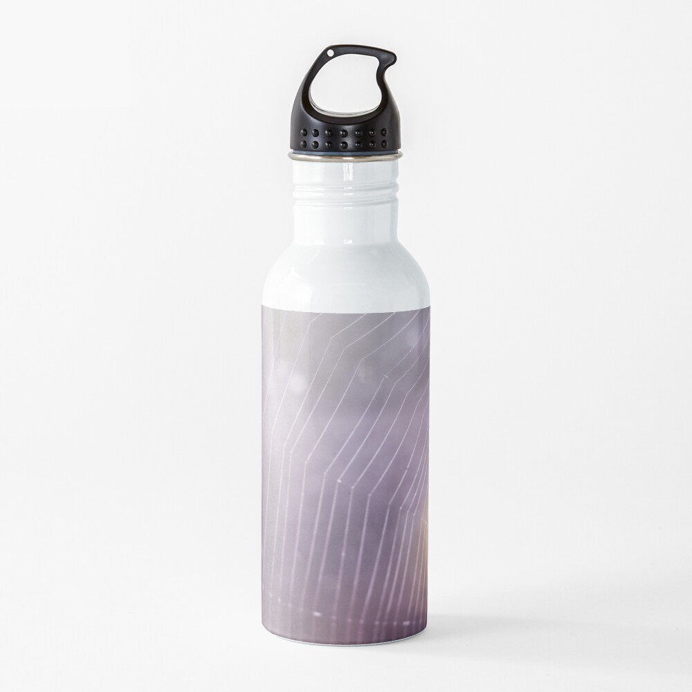 Spider Web Water Bottle