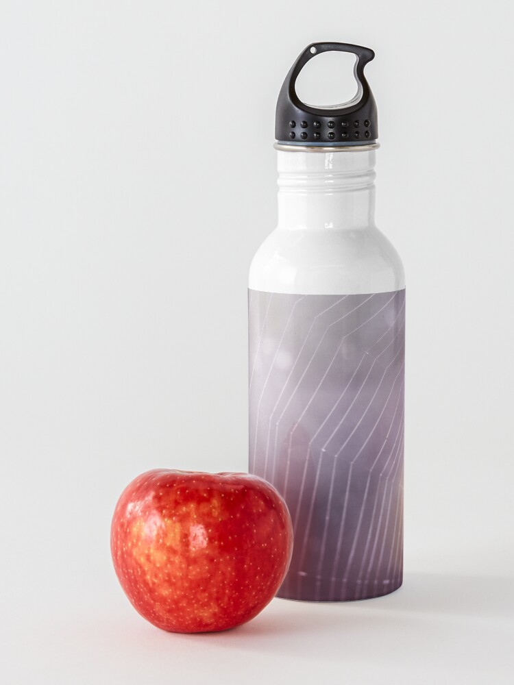 Alternate view of Spider Web Water Bottle