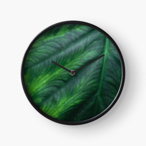 Leaf Clock