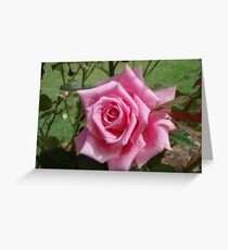 Rose Greeting Card