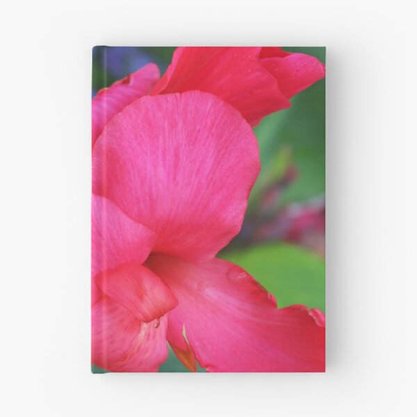 Item preview, Summer at Schedel designed and sold by Michiale.