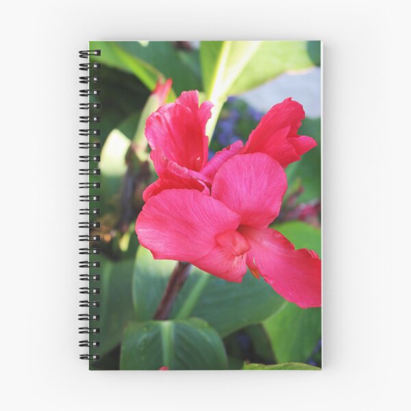 Item preview, Summer at Schedel designed and sold by Michiale.
