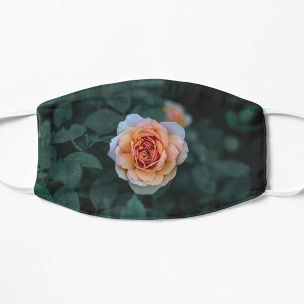 Orange Rose Flat Mask
