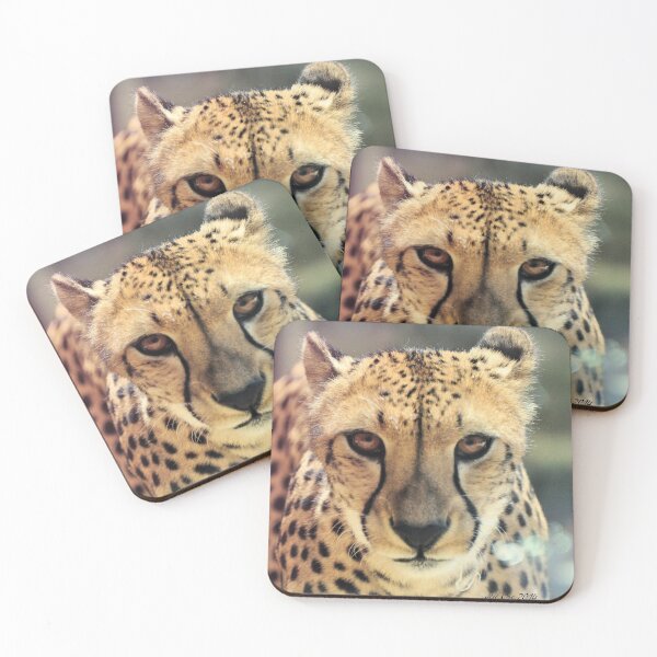 Item preview, Cheetah (Acinonyx jubatus) designed and sold by Jeff Ore.