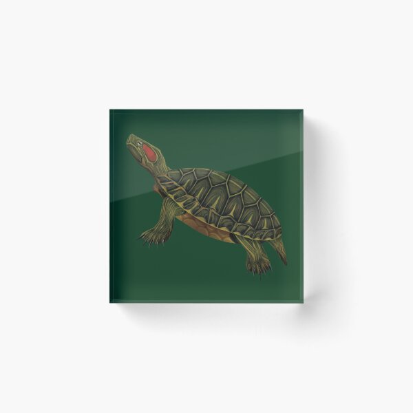 Item preview, Red-eared Slider (Trachemys scripta elegans) Digital Painting designed and sold by Inuyasha907.