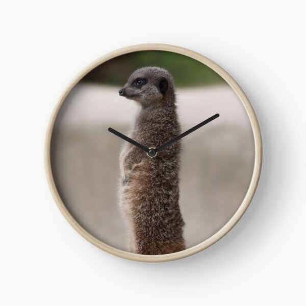 Meerkat Clock