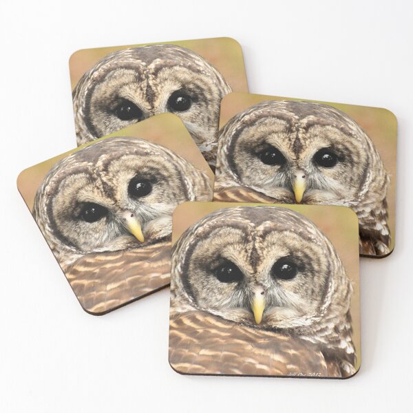 Item preview, Here is looking at you designed and sold by Jeff Ore.