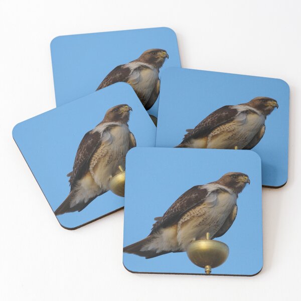Item preview, A Large Red Tailed Hawk designed and sold by MomentofPercep.