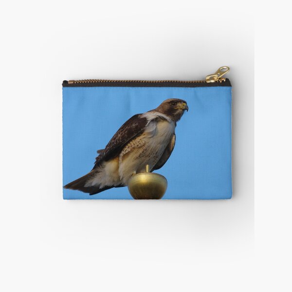 Item preview, A Large Red Tailed Hawk designed and sold by MomentofPercep.