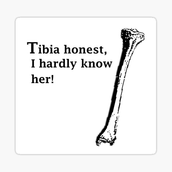 tibia-honest-i-hardly-know-her-sticker-for-sale-by-bonepunsalamode