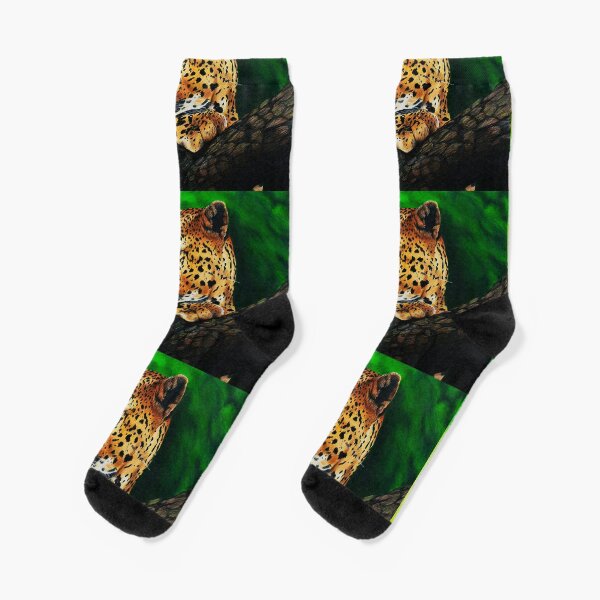 Socks