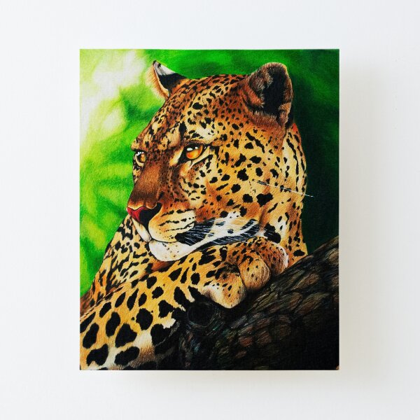 Canvas Mounted Print