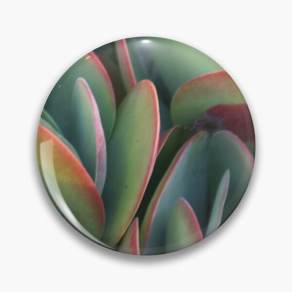 Item preview, Cactus beauty designed and sold by agnessa38.