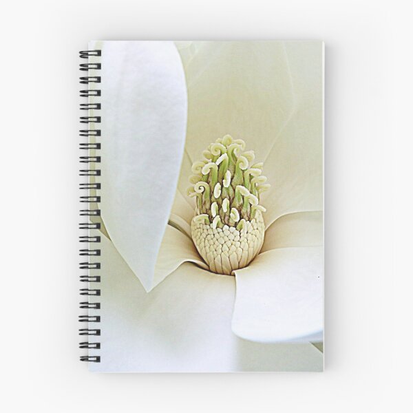 Item preview, Magnolia Carpels and Stamens designed and sold by Jean Gregory Evans.