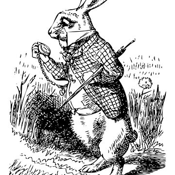 Alice in Wonderland, The White Rabbit Checks the Time