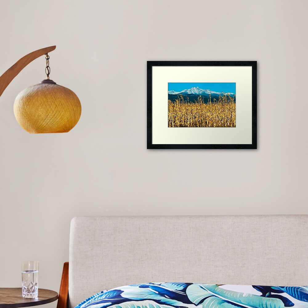 Winter Corn Fields and Longs Peak Framed Art Print