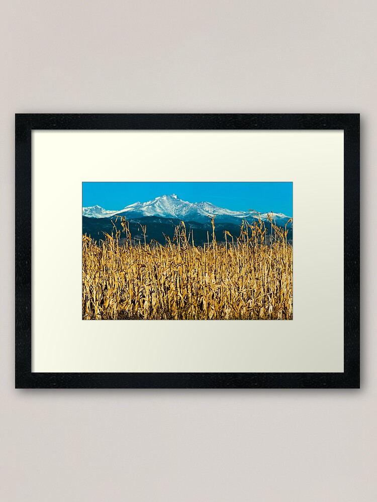 Alternate view of Winter Corn Fields and Longs Peak Framed Art Print