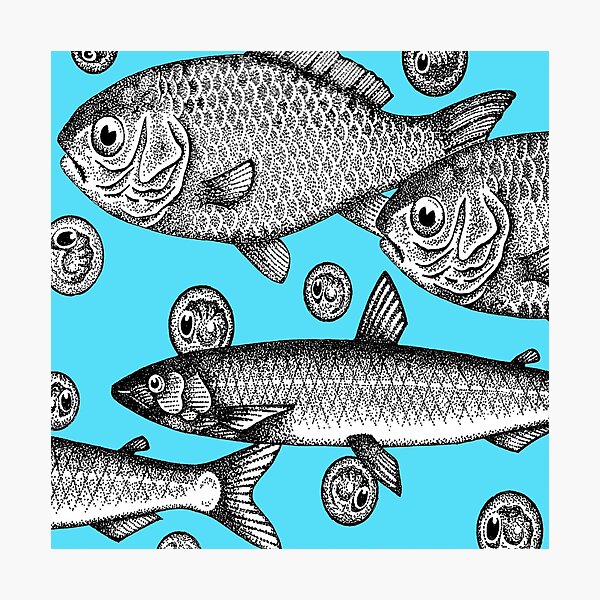 Item preview, shoal 5 designed and sold by crileybell.