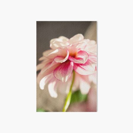 Dahlia Art Board Print