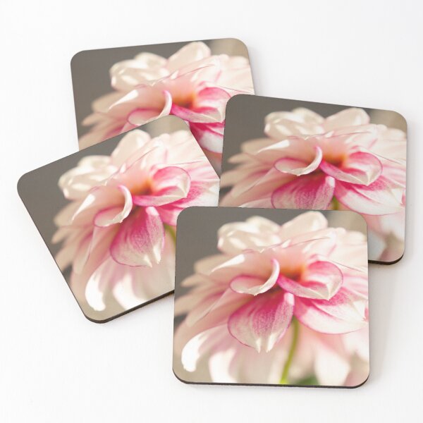 Dahlia Coasters (Set of 4)