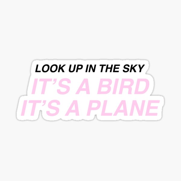 Hylt Bird Plane Ver 1 Sticker By Joshgrossman Redbubble
