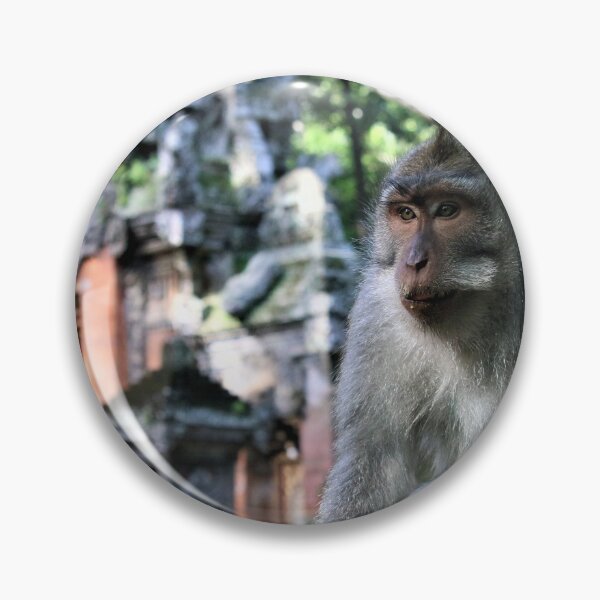Item preview, sacred monkey forest designed and sold by DKphotoart.