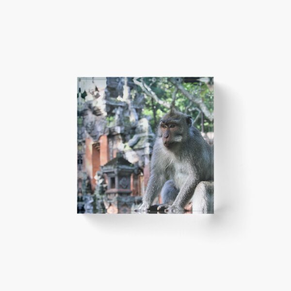 Item preview, sacred monkey forest designed and sold by DKphotoart.