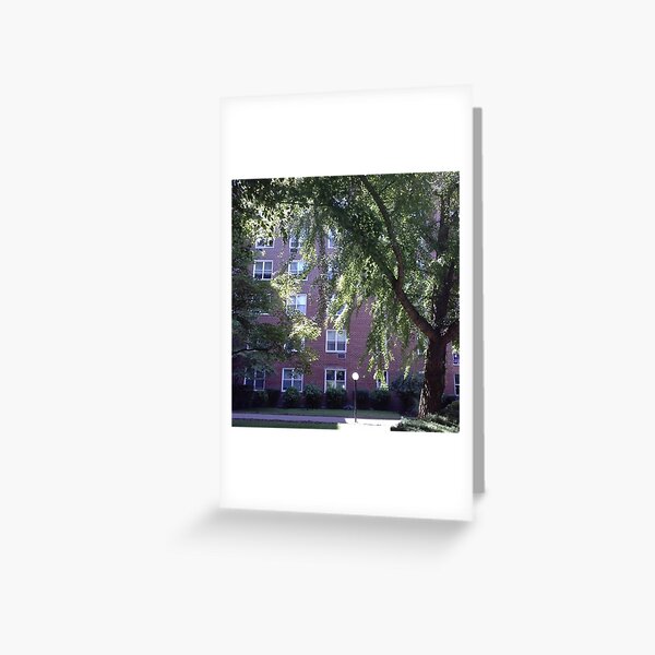 Leaves of trees pierced by a sunbeam Greeting Card