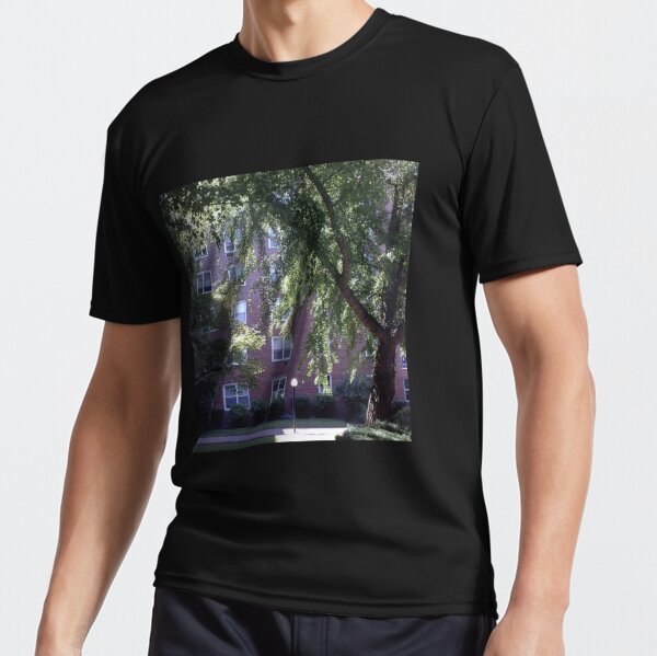 Leaves of trees pierced by a sunbeam Active T-Shirt
