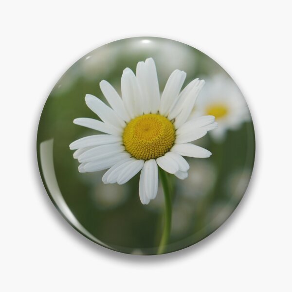 Item preview, you are special designed and sold by distracted.