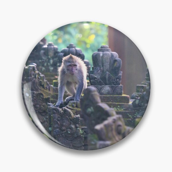 Item preview, monkey playground designed and sold by DKphotoart.