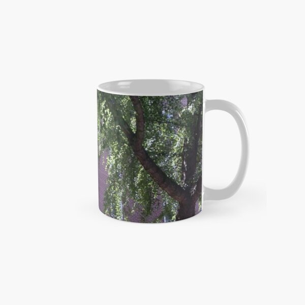 Leaves of trees pierced by a sunbeam Classic Mug