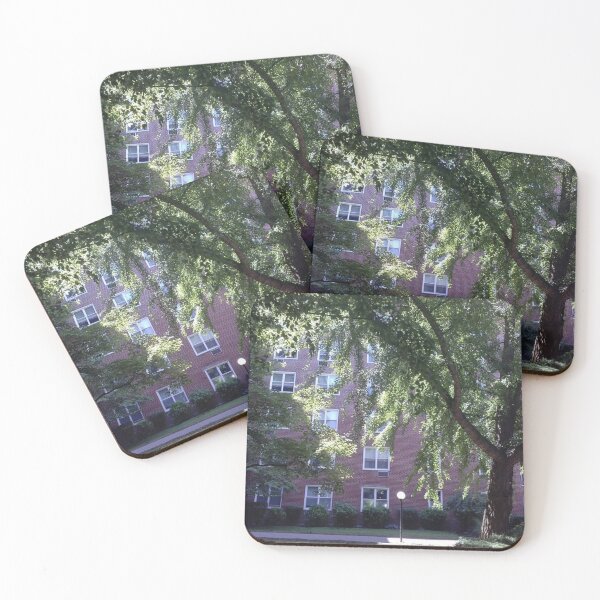 Leaves of trees pierced by a sunbeam Coasters (Set of 4)