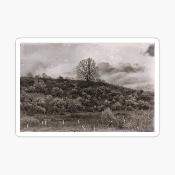 Spread my ashes here Sticker