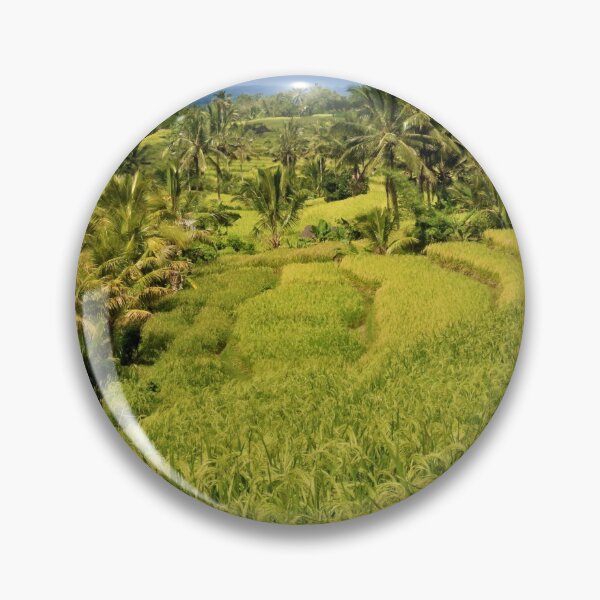 Item preview, rice fields designed and sold by DKphotoart.