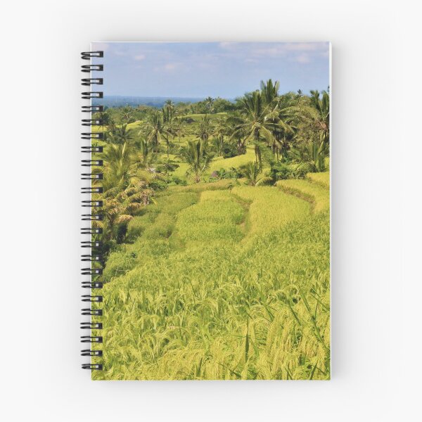 Item preview, rice fields designed and sold by DKphotoart.