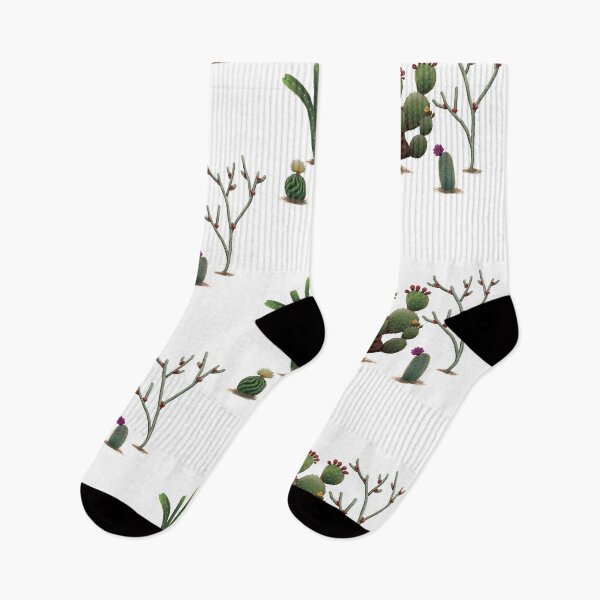 Item preview, Cacti Collection Digital Painting designed and sold by Inuyasha907.