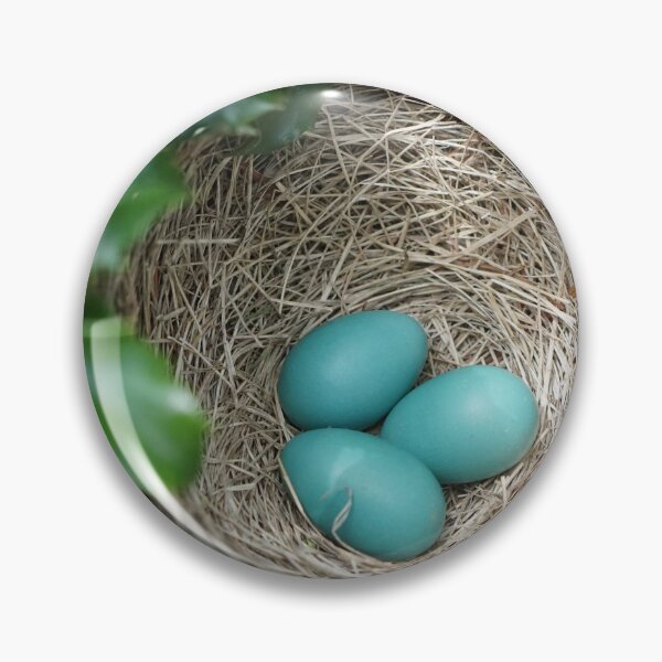 Item preview, robin eggs designed and sold by distracted.