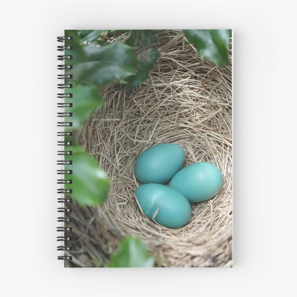 Item preview, robin eggs designed and sold by distracted.